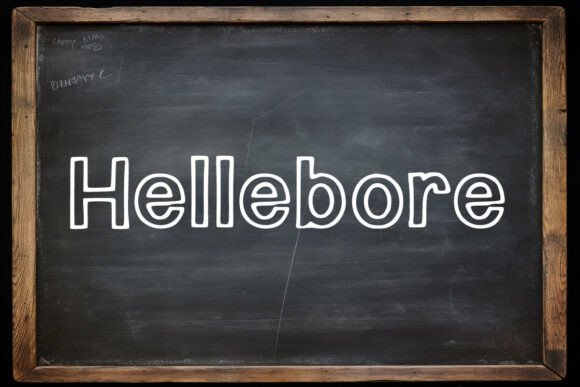 Hellebore Font Review: A Versatile Display Typeface for Campaigns